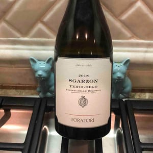 Sgarzon 2018