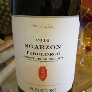 Azienda Agricola Foradori - Elisabetta Foradori - Sgarzon