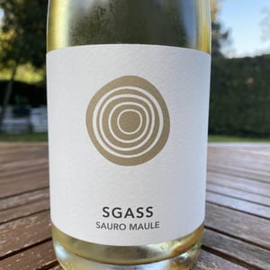 Sgass - Azienda Agricola Il Cavallino - Sauro Maule 