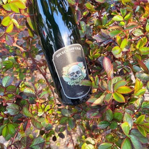 Shadowfolk - Shadowfolk Vineyards - petra-kujanpaa -2021