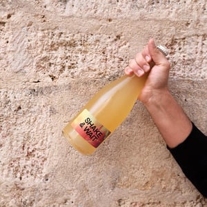Shake & Wait Pet Nat Orange - Brand Bros - Weingut Brand - daniel-jonas-brand