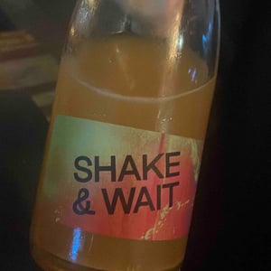 Brand Bros - Weingut Brand - Daniel & Jonas Brand - Shake & Wait Pet Nat Orange
