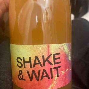 Shake & Wait Pet Nat Orange - Brand Bros - Weingut Brand - daniel-jonas-brand