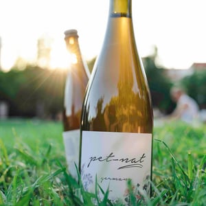 Shake & Wait Pet Nat White - Brand Bros - Weingut Brand - daniel-jonas-brand -2021