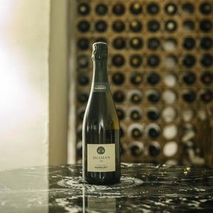 Shaman - Champagne Marguet - Benoît Marguet 