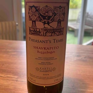 Shavkapito 2019