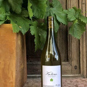Xalera - Celler Les Foes - roger-diaz