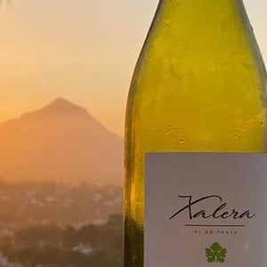 Xalera 2019 - Celler Les Foes - Roger Díaz