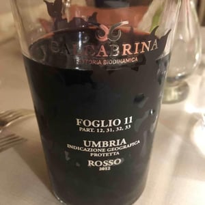 Foglio 11 2012 - Fattoria Calcabrina - Diego Calcabrina