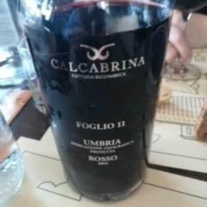 Foglio 11 - Fattoria Calcabrina - Diego Calcabrina 