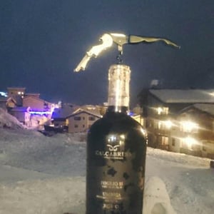 Foglio 11 - Fattoria Calcabrina - diego-calcabrina