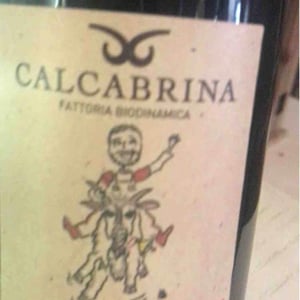 Foglio 61 - Fattoria Calcabrina - diego-calcabrina