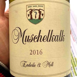 Muschelkalk 2016
