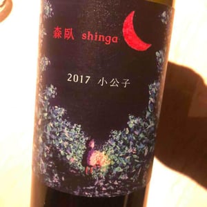 Shinga - Takebe Yuji - Shokoshi