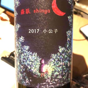 Shinga - Takebe Yuji - Shokoshi