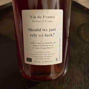 Should we just rely on luck? - Anders Frederik Steen & Anne Bruun Blauert - Anders Frederik Steen & Anne Bruun Blauert 
