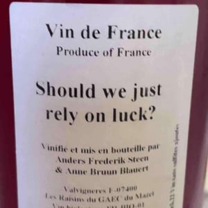 Should we just rely on luck? - Anders Frederik Steen & Anne Bruun Blauert - anders-frederik-steen-anne-bruun-blauert