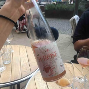 Domaine Christian Binner - Christian Binner et son équipe - Si Rose