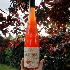 Si Rose - Domaine Christian Binner - christian-binner-et-son-equipe