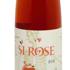 Domaine Christian Binner - Christian Binner et son équipe - Si Rose