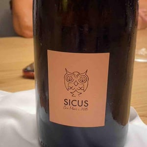 Sicus Cru Mari - Sicus - Eduard Pié -2014