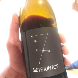 MicroBioWines - Ismael Gozalo - Sietejuntos Syrah