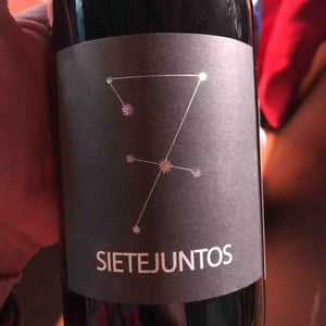 MicroBioWines - Ismael Gozalo - Sietejuntos Syrah