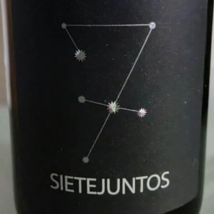 Sietejuntos Syrah - MicroBioWines - Ismael Gozalo 