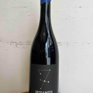 Sietejuntos Syrah - MicroBioWines - Ismael Gozalo 