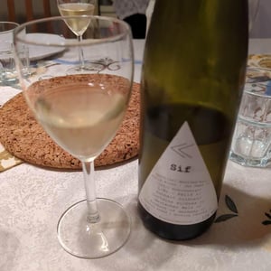 Sif - Katla Wines - Jasmin Swan 
