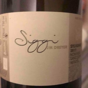 Siggi 17