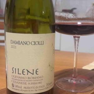 Silene - Damiano Ciolli - damiano-ciolli