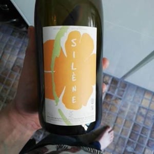 Domaine des Maisons Brûlées - Corinne & Paul Gillet - Silène