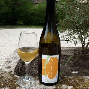 Domaine des Maisons Brûlées - Corinne & Paul Gillet - Silène