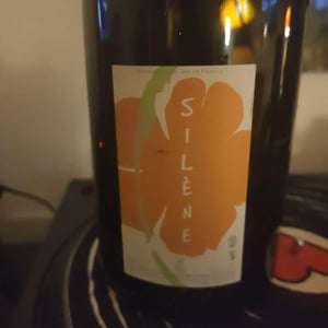 Silène - Domaine des Maisons Brûlées - corinne-paul-gillet