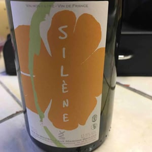 Domaine des Maisons Brûlées - Corinne & Paul Gillet - Silène