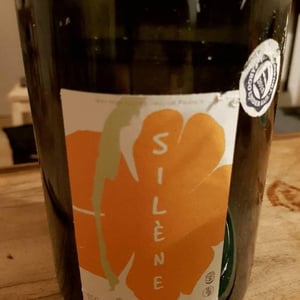 Silène - Domaine des Maisons Brûlées - corinne-paul-gillet