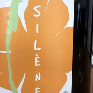 Domaine des Maisons Brûlées - Corinne & Paul Gillet - Silène