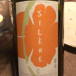 Domaine des Maisons Brûlées - Corinne & Paul Gillet - Silène