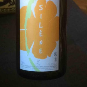 Domaine des Maisons Brûlées - Corinne & Paul Gillet - Silène