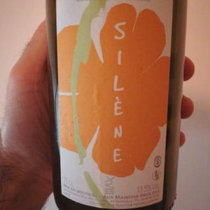 Silène - Domaine des Maisons Brûlées - Corinne & Paul Gillet 
