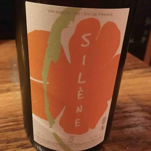 Silène - Domaine des Maisons Brûlées - Corinne & Paul Gillet 