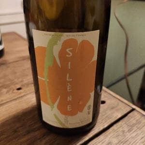 Silène - Domaine des Maisons Brûlées - Corinne & Paul Gillet 