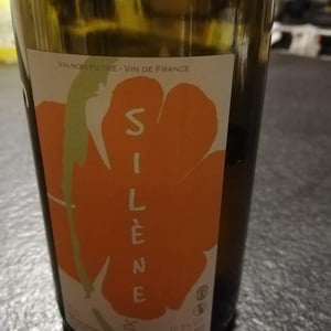 Domaine des Maisons Brûlées - Corinne & Paul Gillet - Silène