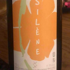Silène - Domaine des Maisons Brûlées - Corinne & Paul Gillet 