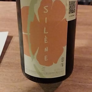 Silène - Domaine des Maisons Brûlées - corinne-paul-gillet