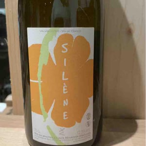 Silène - Domaine des Maisons Brûlées - corinne-paul-gillet