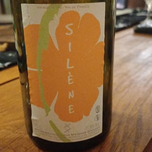 Silène - Domaine des Maisons Brûlées - corinne-paul-gillet
