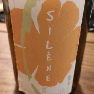 Silène - Domaine des Maisons Brûlées - Corinne & Paul Gillet 