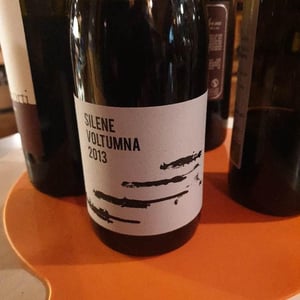 SILENE - Voltumna - Marzio Politi 